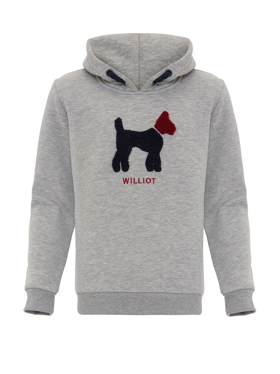 

Толстовка Williot, серый