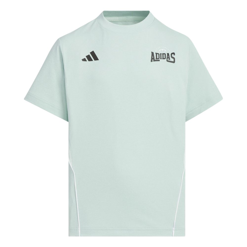 

Adidas Футболка светло-зеленая для детей 3-7 лет, Зеленый, Adidas Футболка светло-зеленая для детей 3-7 лет