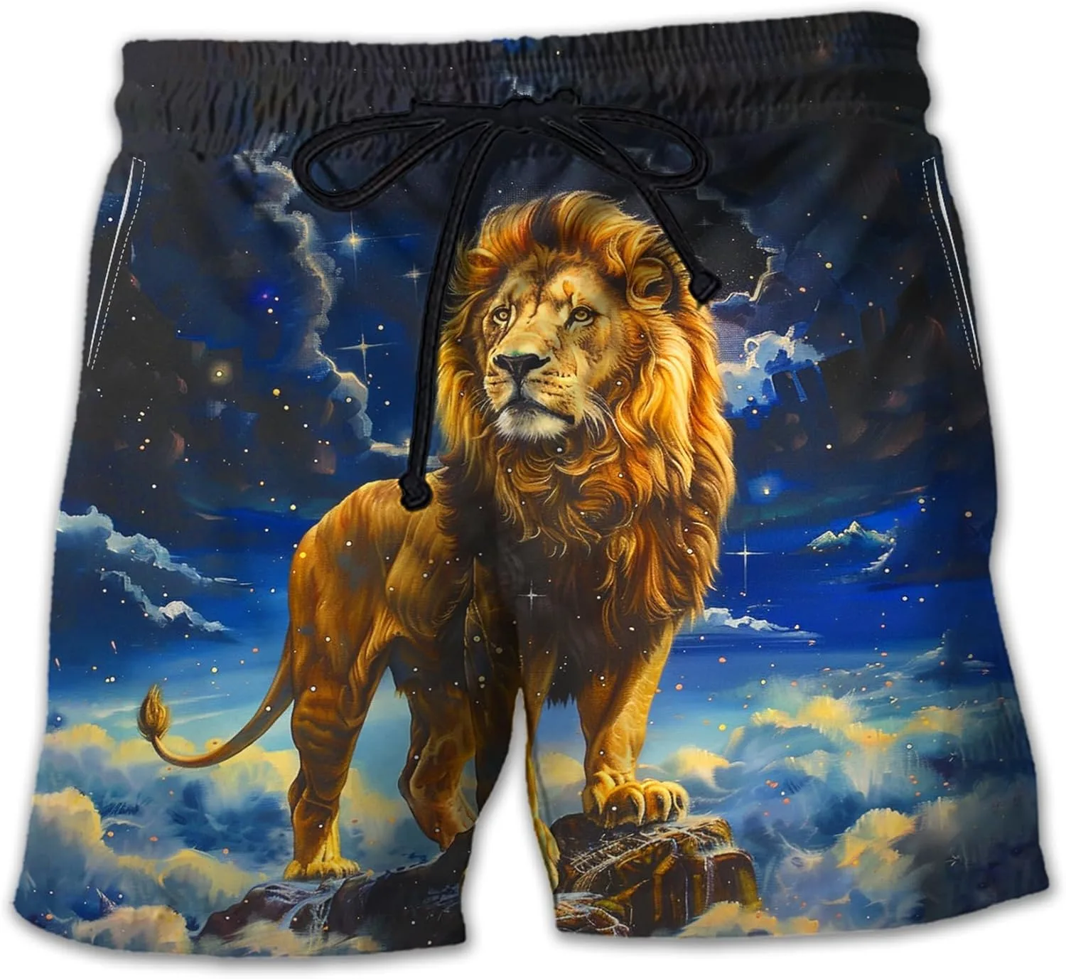 Мужские плавки Lion - комплект плавок Lion Art с сетчатой подкладкой GENERIC, Lion_27