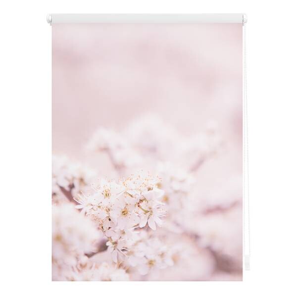 

Затемняющие рулонные шторы Lichtblick Kirschblüten, 90x150x6 см цвет rosa/weiß