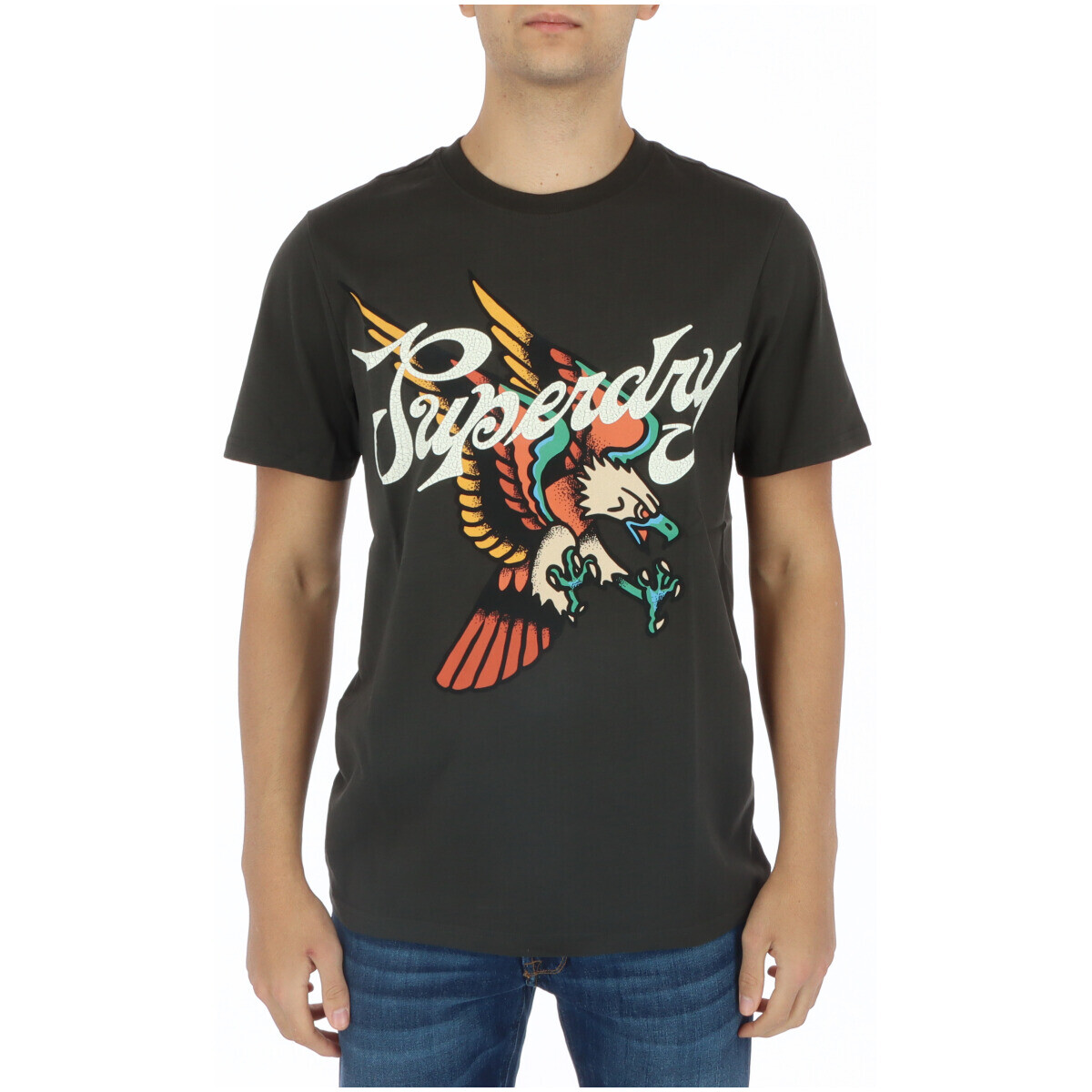 

Футболка мужская Superdry. с принтом, черный