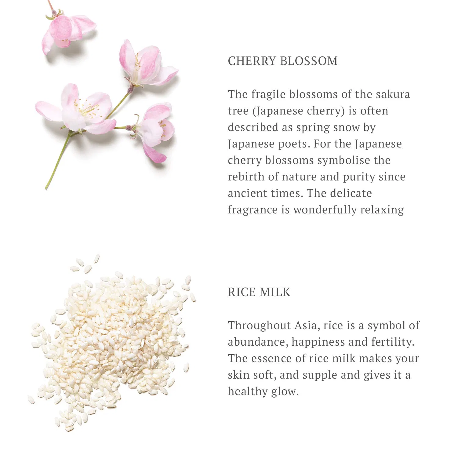 Масло для душа «The Ritual of Sakura» от Rituals, 200 мл Rituals — фото 3