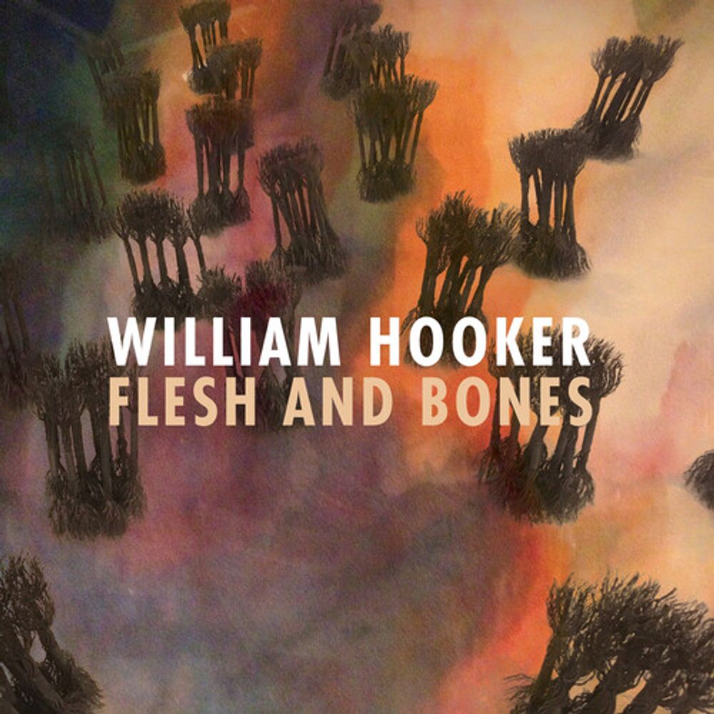 

Диск CD Flesh And Bones - William Hooker