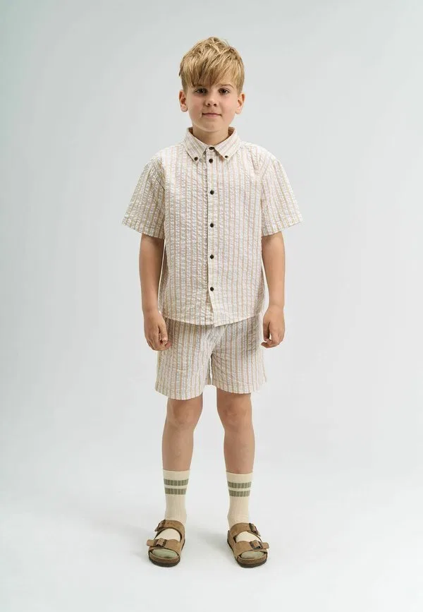 Шорты смита The New, Humus Striped