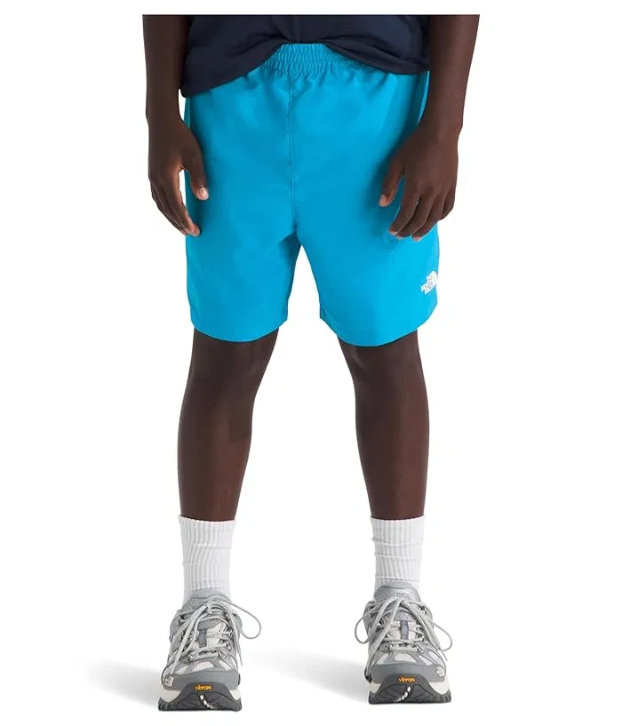 Шорты быстросохнущие Class V 5" Shorts The North Face Kids, Periwinkle Glow Logo Weather Topo Phantom Print