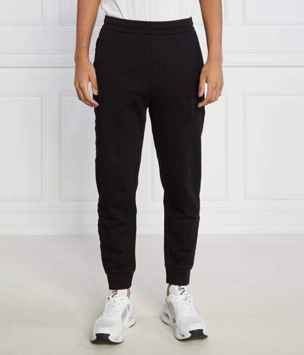 

Штаны спортивные Armani Exchange Regular Fit мужские, черный