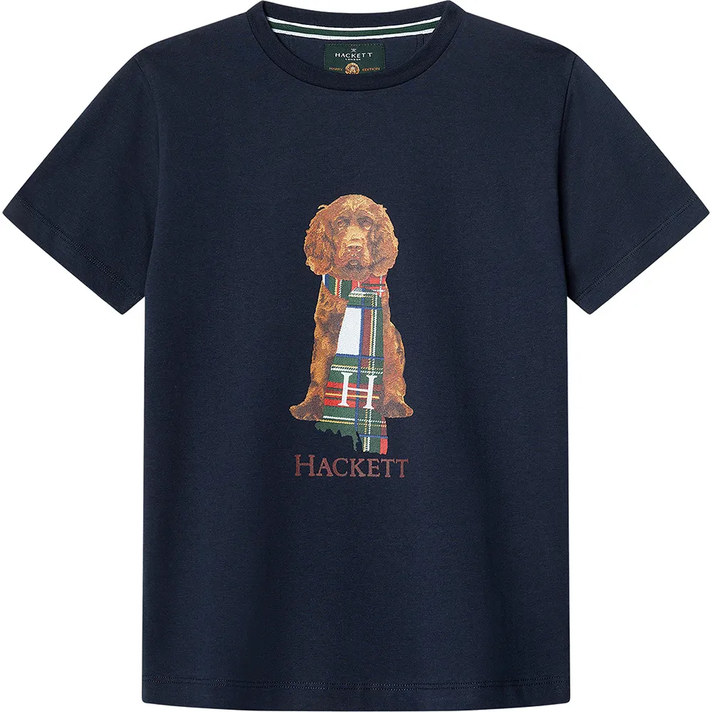 

Футболка Hackett Heritage Harry, синий
