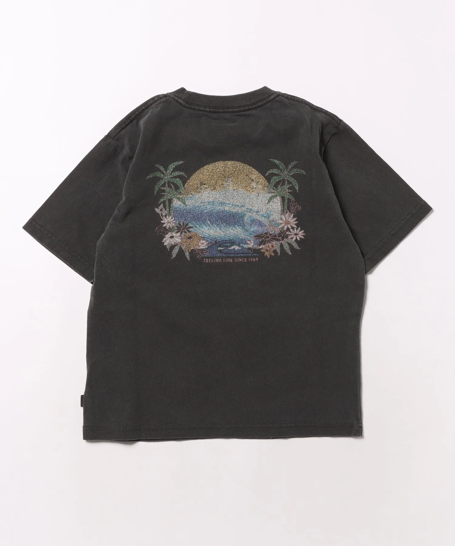 Детская футболка с принтом Quiksilver PG Arty Surf Scene ST Youth розовая — фото 2