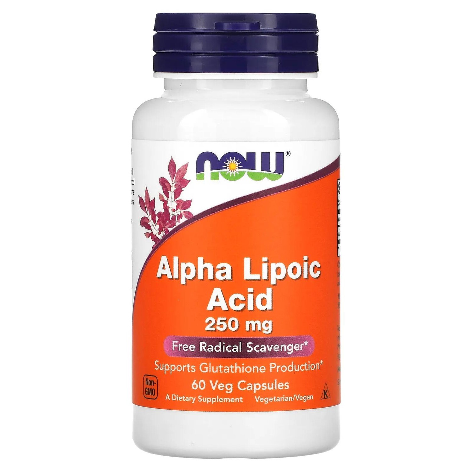 

Now Foods Alpha Lipoic Acid 250 mg 60 Veg Capsules