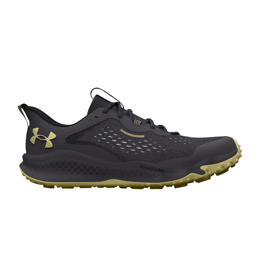 

Кроссовки Charged Maven Trek Low Under Armour, серый