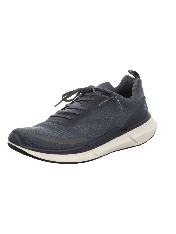 

Низкие кроссовки Ecco Biom 22, цвет ombre