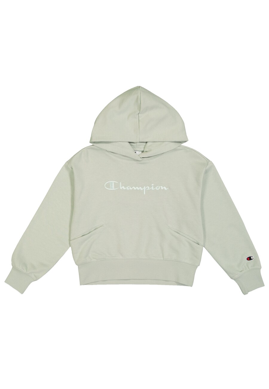 

Толстовка Champion Authentic Athletic Apparel, светло-серый