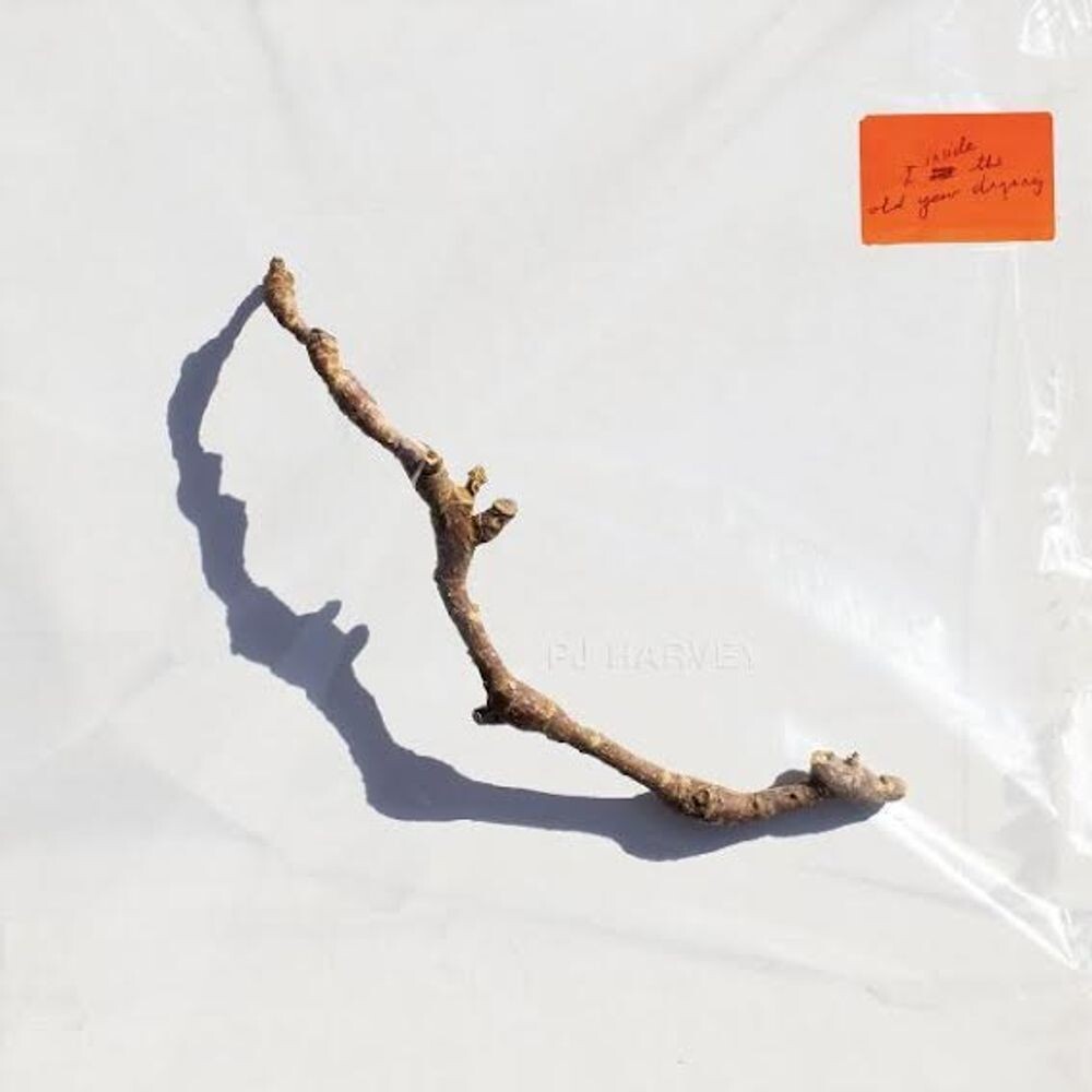 

Виниловая пластинка LP I Inside The Old Year Dying - PJ Harvey
