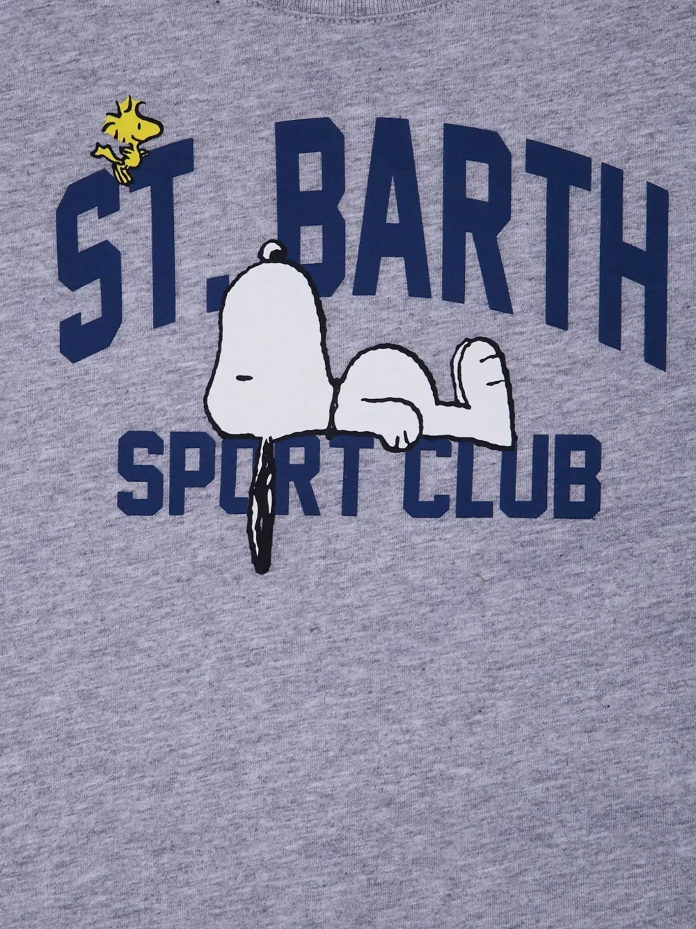 Футболка с принтом Peanuts Mc2 Saint Barth Kids, серый — фото 3