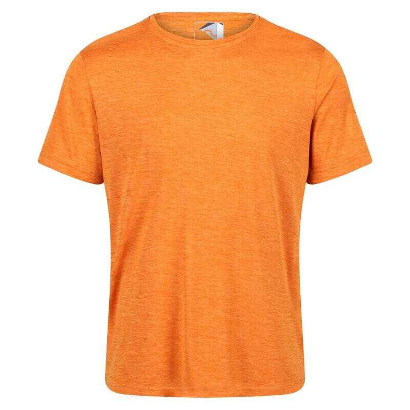 

Мужская футболка Regatta, цвет orange/naranja