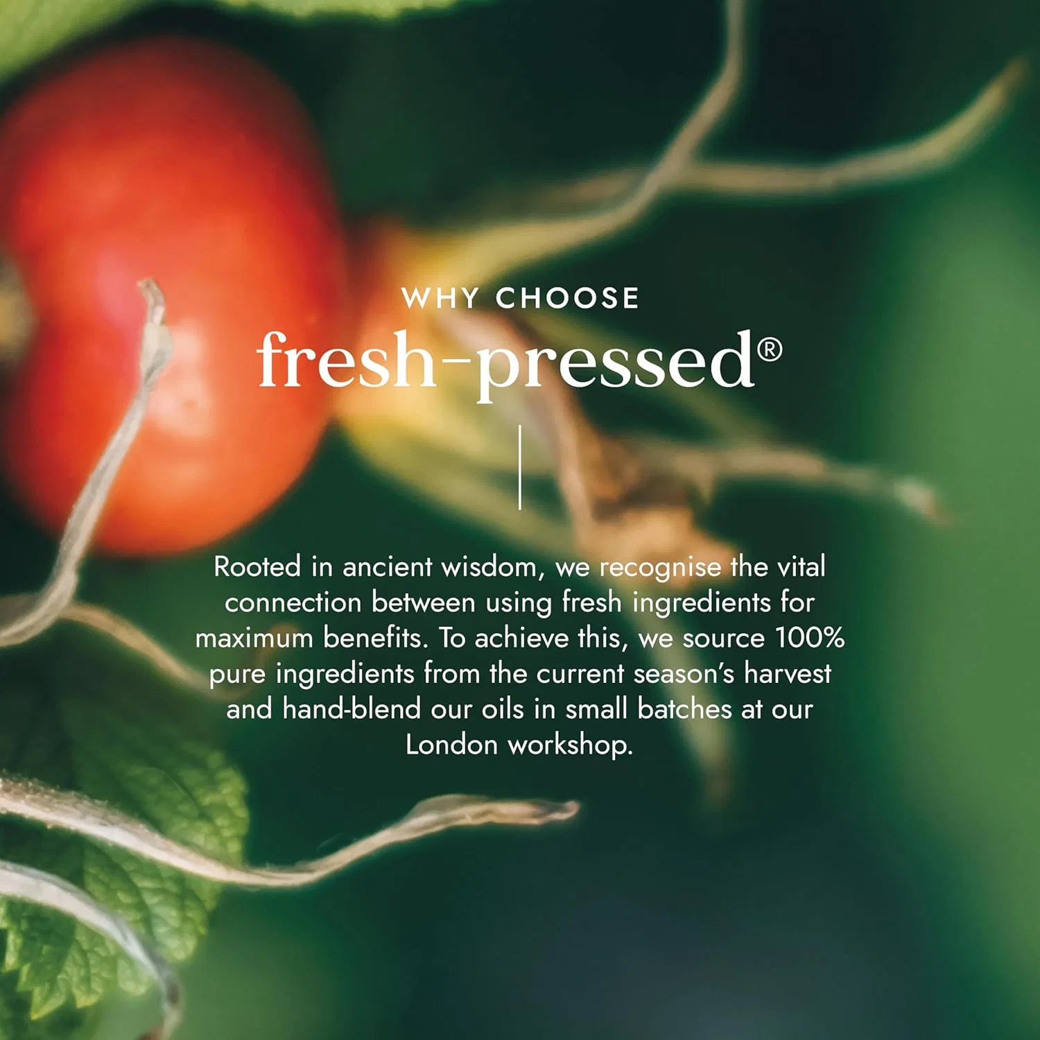 Крем для лица Fushi — Органическое масло шиповника Rosehip Seed Extra Virgin, 100 мл — фото 4