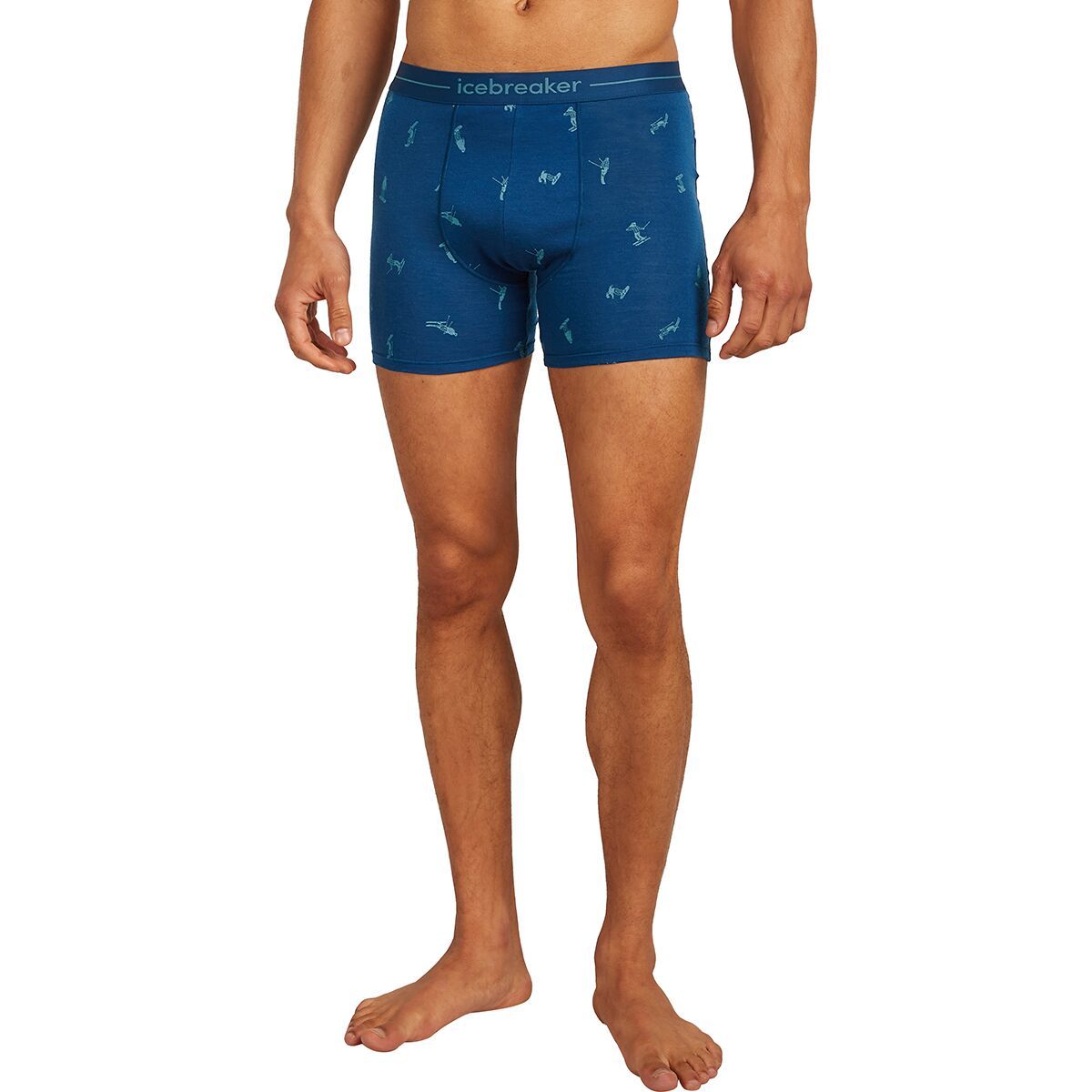 

Боксеры Merino 150 Anatomica - Ski Day Icebreaker, мультиколор