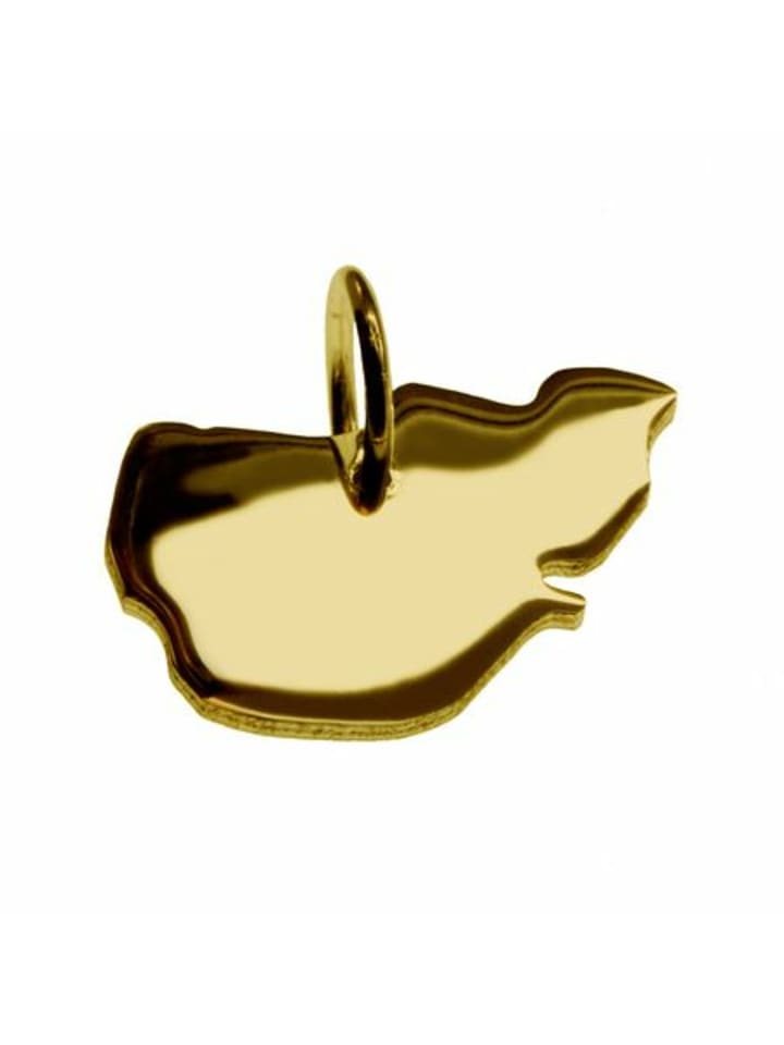 

Schmuckador Кулон с картой Пеллворма из цельного желтого золота 333 пробы