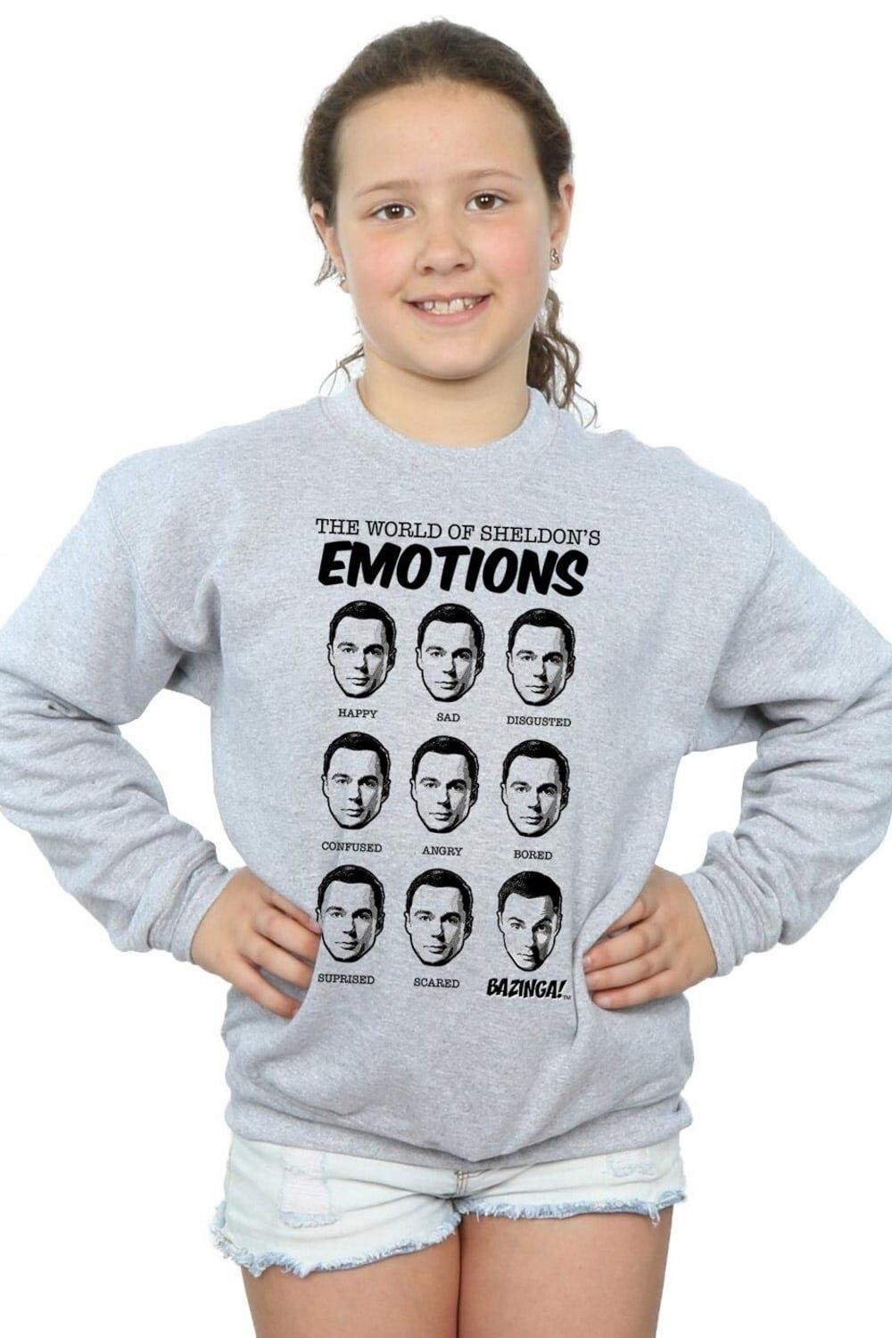 

Толстовка Sheldon Emotions The Big Bang Theory, серый