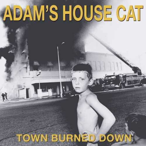 

Виниловая пластинка Adam's House Cat: Town Burned Down