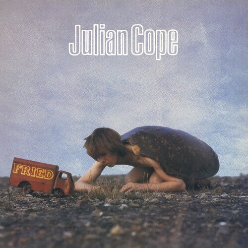 

Виниловая пластинка Cope, Julian: Fried - 180gm Vinyl