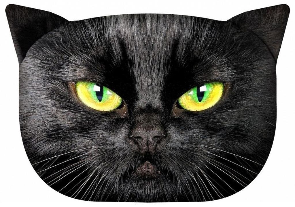 

Декоративная подушка для дивана »CAT Nero« PT06 Arso
