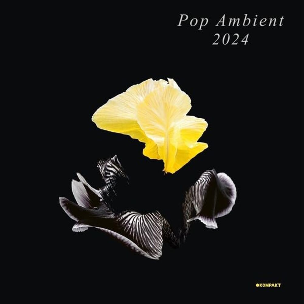 

Виниловая пластинка LP Pop Ambient 2024 - Various Artists