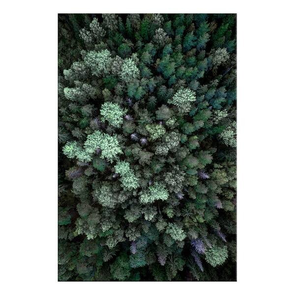 

Фреска Artgeist Flying Over Forest, разноцветный