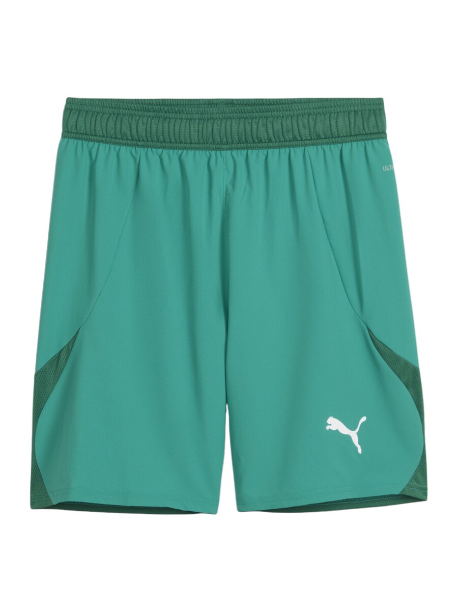 

Обычные спортивные штаны PUMA TeamFinal, цвет Emerald/Fir