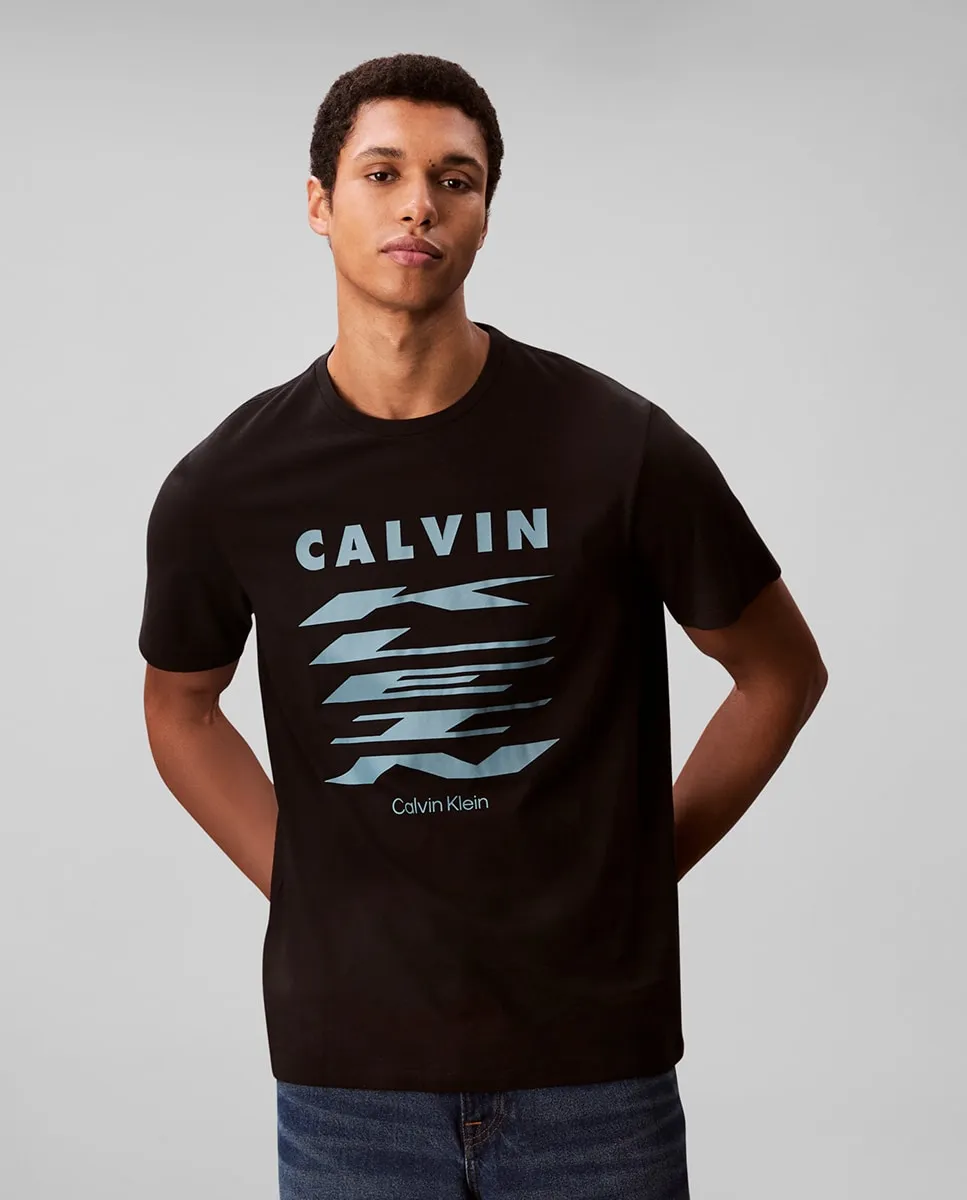 

Футболка мужская с графикой Calvin Klein Jeans, черный
