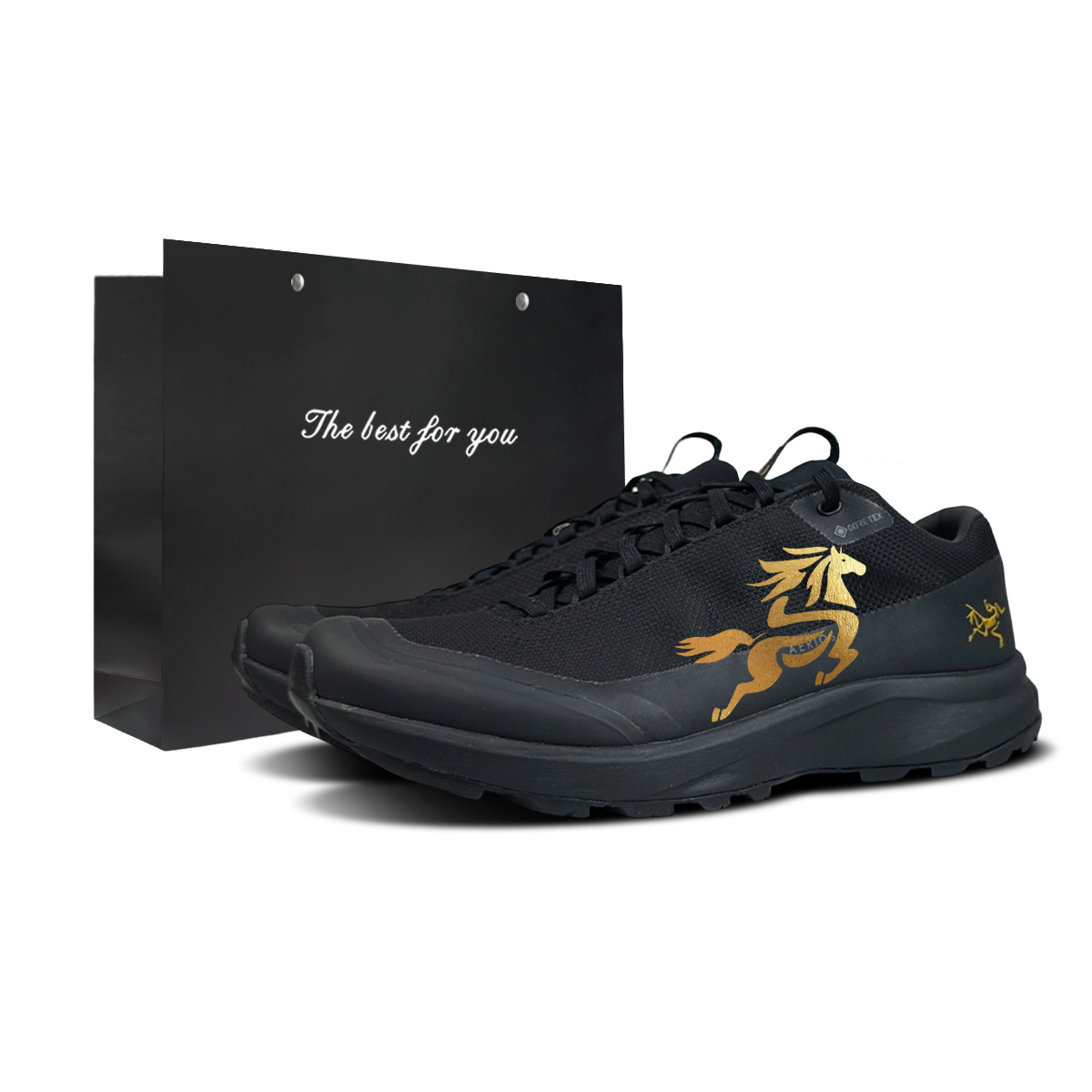 

Aerios Fl 2 BNK Horse Hoof Disease Abrasion Resistant низкие кроссовки для активного отдыха мужские Arcteryx, черный-shopping bag