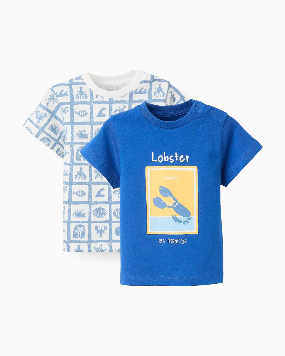 

Упаковка из 2 футболок с коротким рукавом для мальчика 100% хлопок Zippy, синий