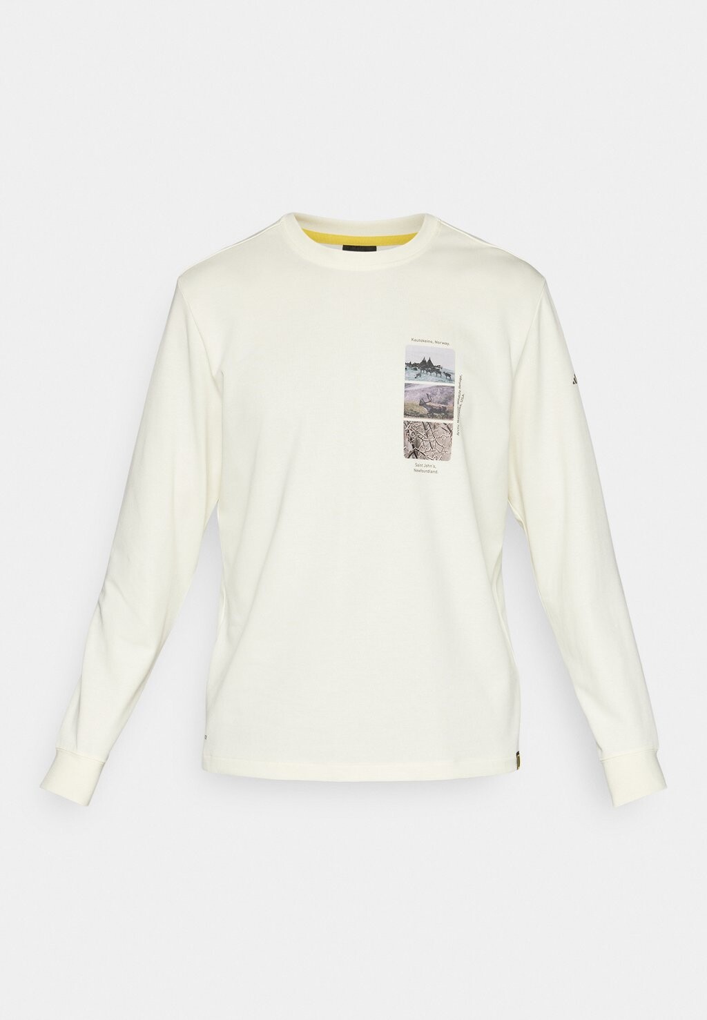 

Топ с длинными рукавами NATIONAL GEOGRAPHIC UNITEFIT GFX TEE LS Adidas Terrex, бежевый
