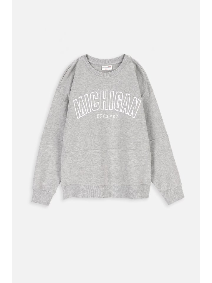 

Толстовка Coccodrillo, серый