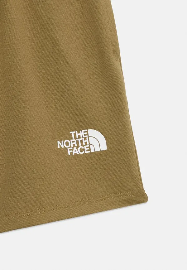 Простые спортивные шорты для подростков с купольной крышей The North Face, Cedar — фото 3