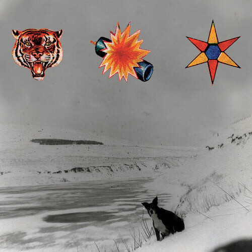 

CD диск Beta Band: The Three EPs (20th Anniversary)