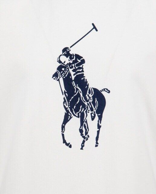 Комплект из футболки и шорт для мальчика Polo Ralph Lauren, зеленый — фото 2