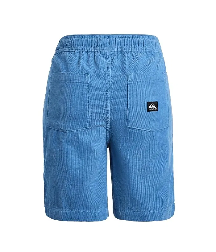 Шорты из вельвета Taxer Cord Shorts Quiksilver Kids, Riviera — фото 2