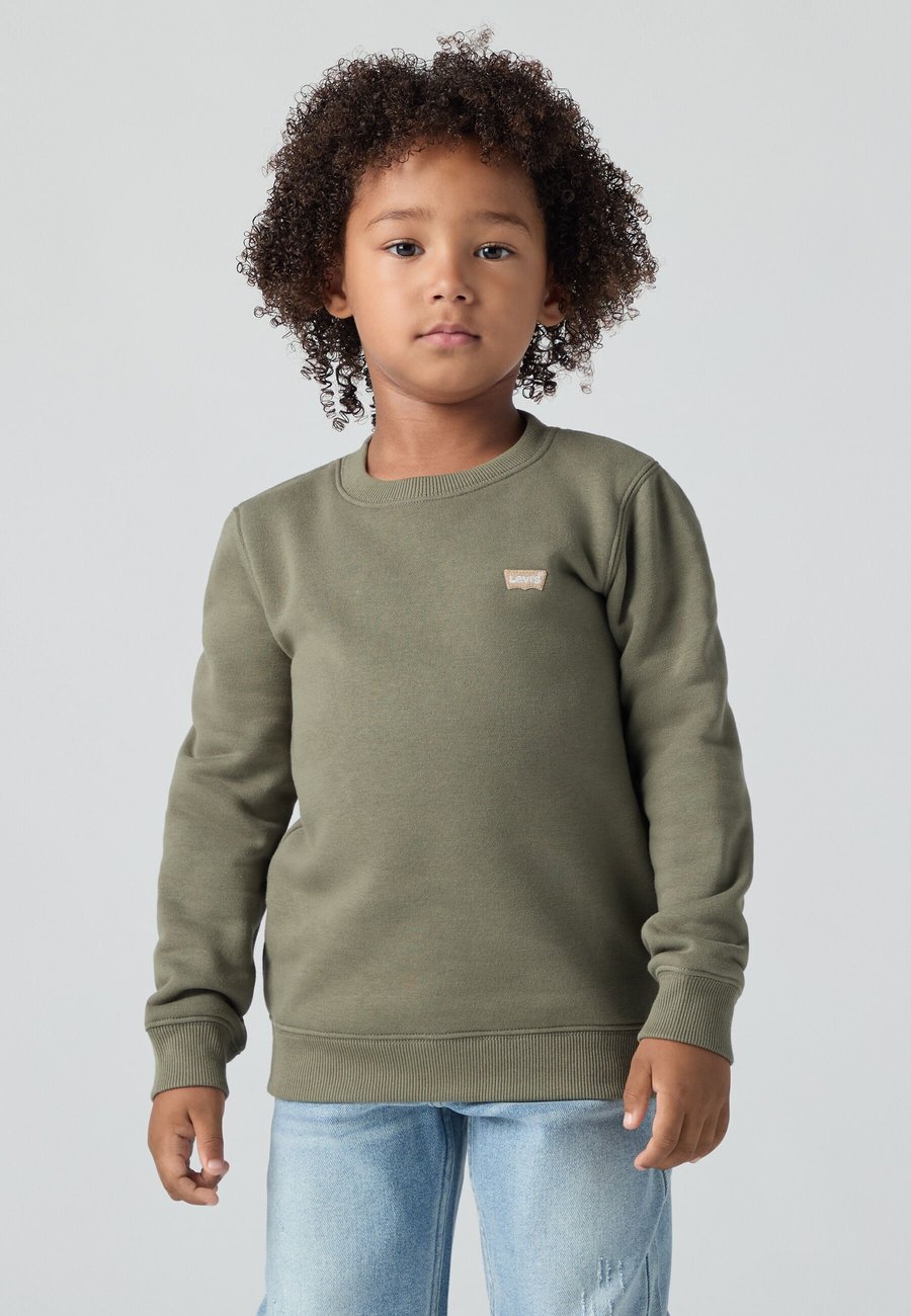 

Толстовка Levi's MINI LOGO CREW NECK UNISEX, Deep Lichen Green/Khaki