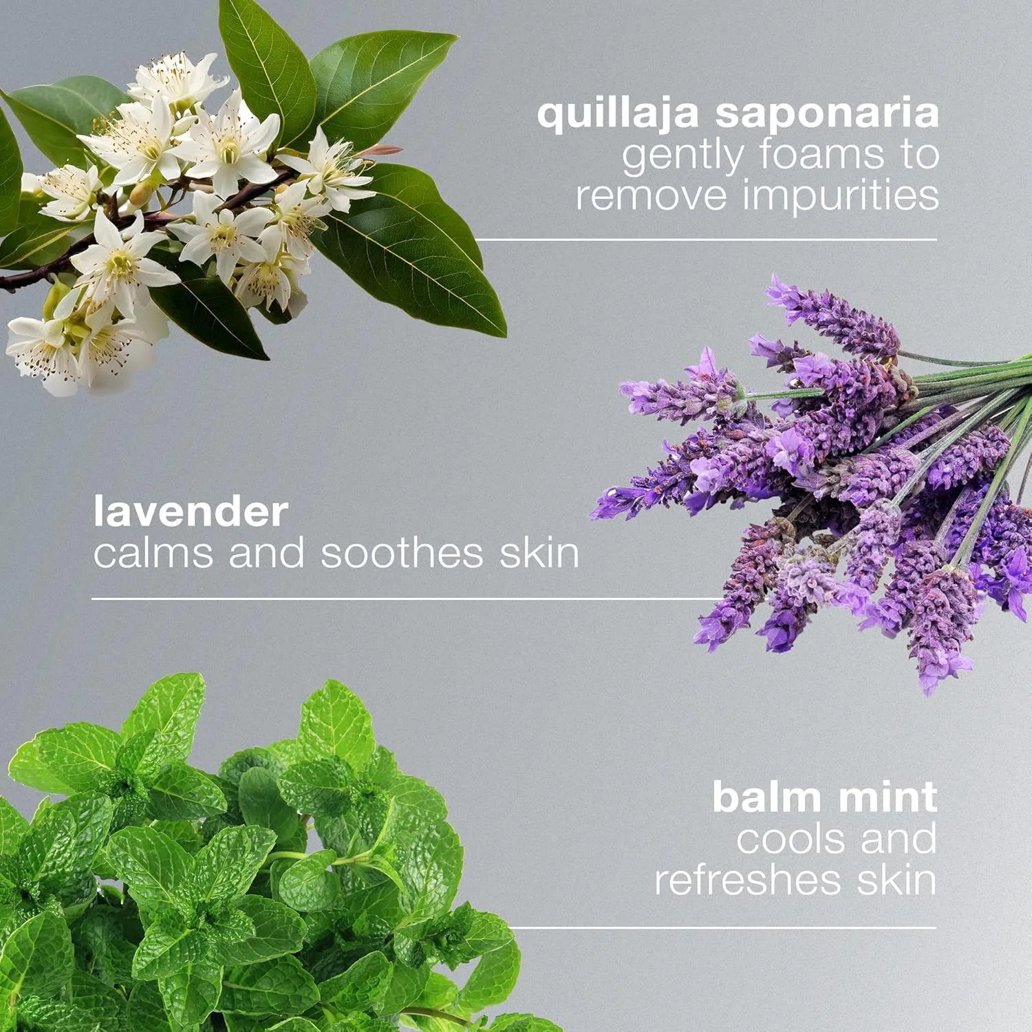 Гель для умывания Dermalogica — Очищающий гель для лица от, 50 мл — фото 4