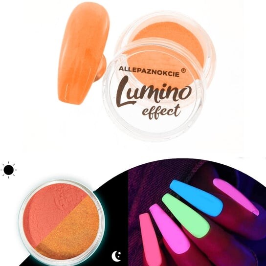 

Светящаяся в темноте пудра AlleNaznokcie, Fluo Lumino Effect 6, AllePaznokcie