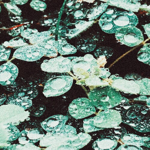 

CD диск Sadness: Rain Chamber