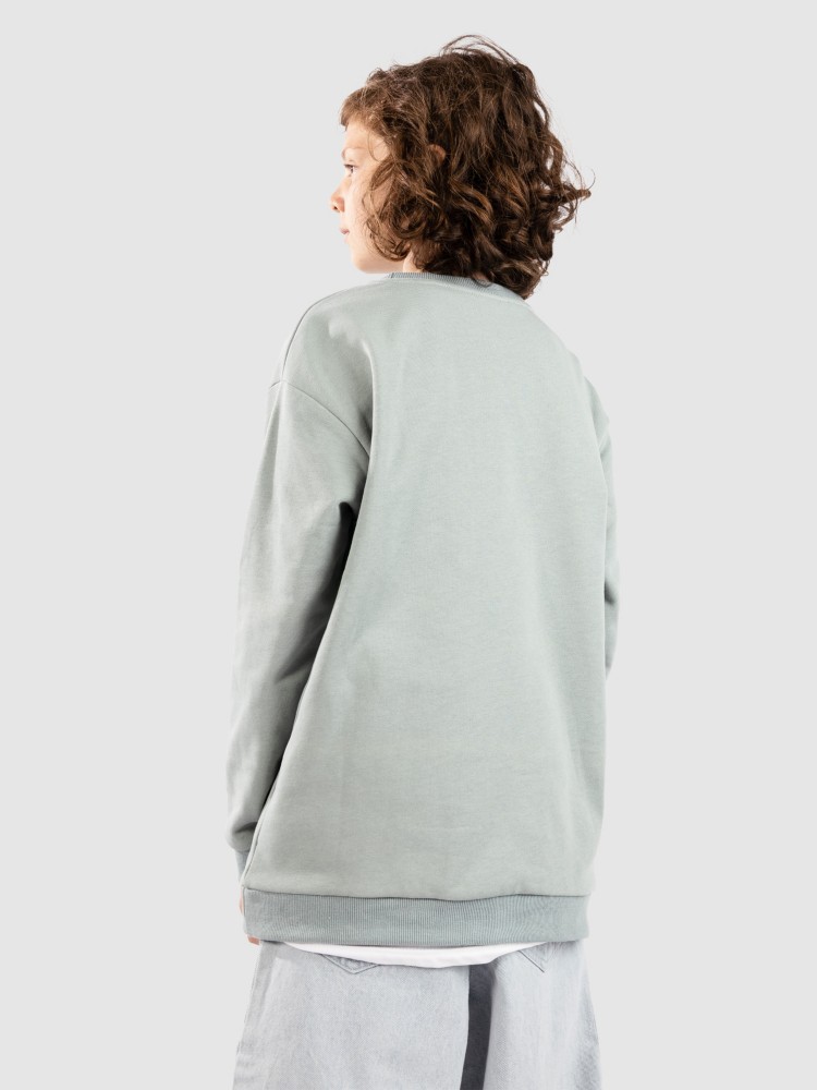 Свитер Blue Tomato Mini Logo Crew Kids Sweater, iceberg green — фото 2