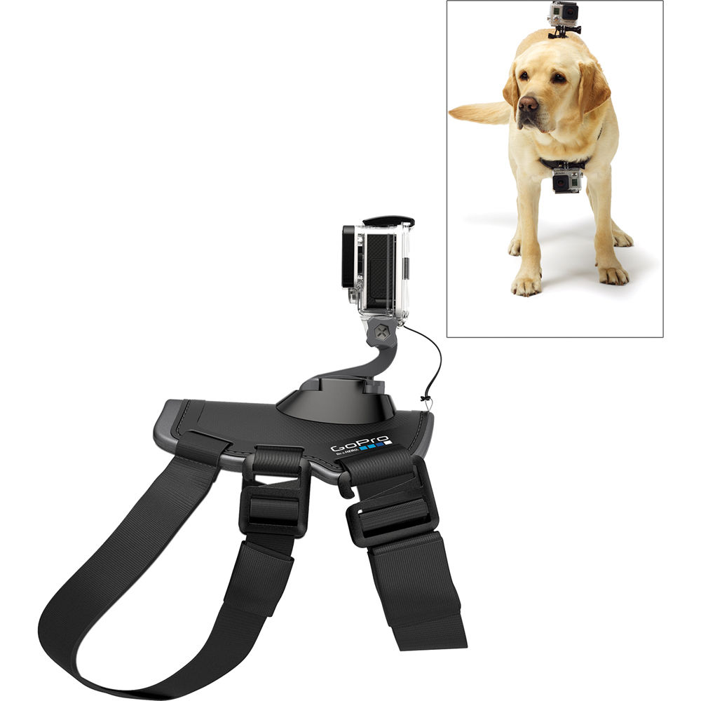 

GoPro Fetch ADOGM-001