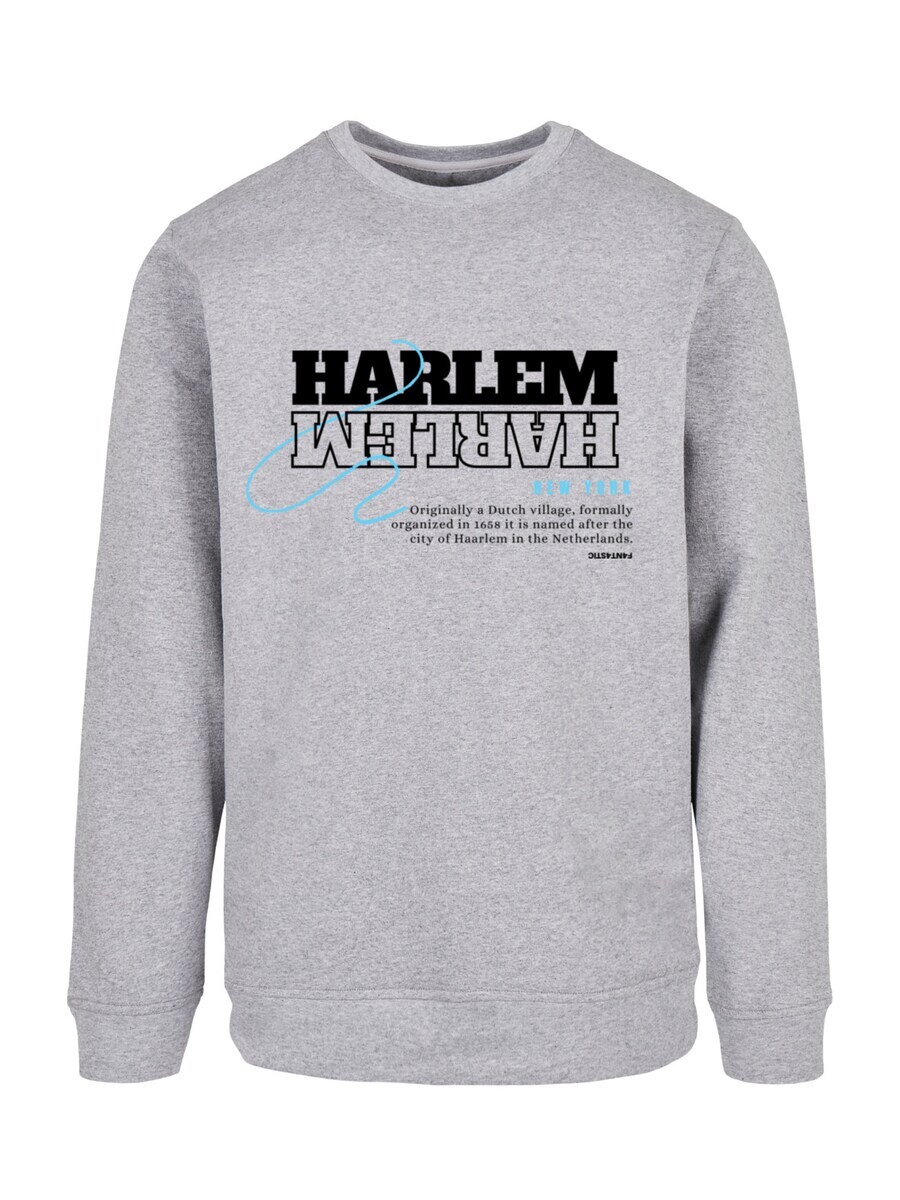 

Свитер F4NT4STIC Sweatshirt Harlem, серый
