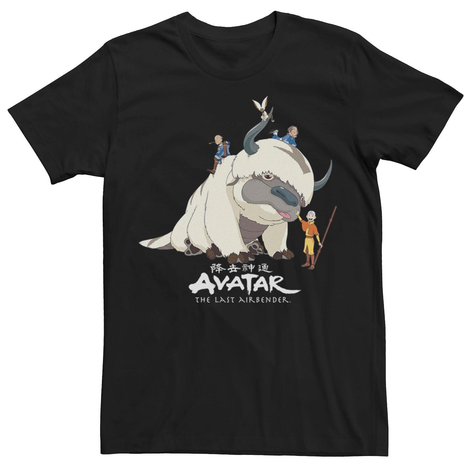 

Мужская футболка Avatar: The Last Airbender Appa Ride Group Shot Licensed Character