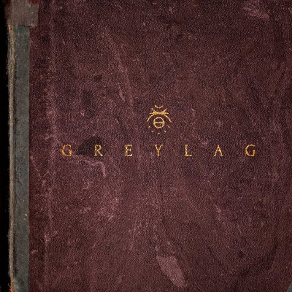 

Диск CD Greylag - Greylag