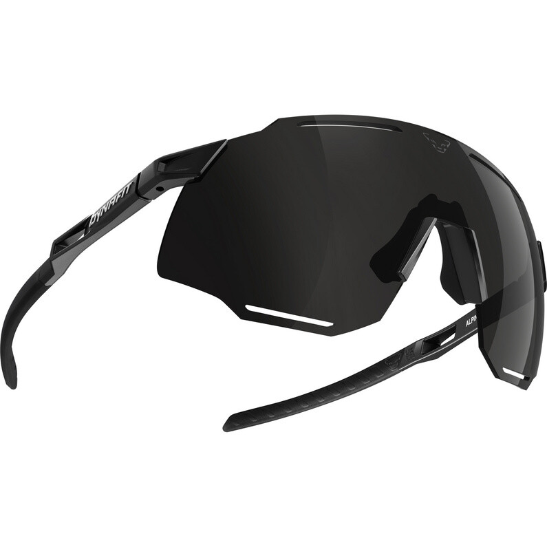 

Спортивные очки Alpine 3 Dynafit, черный
