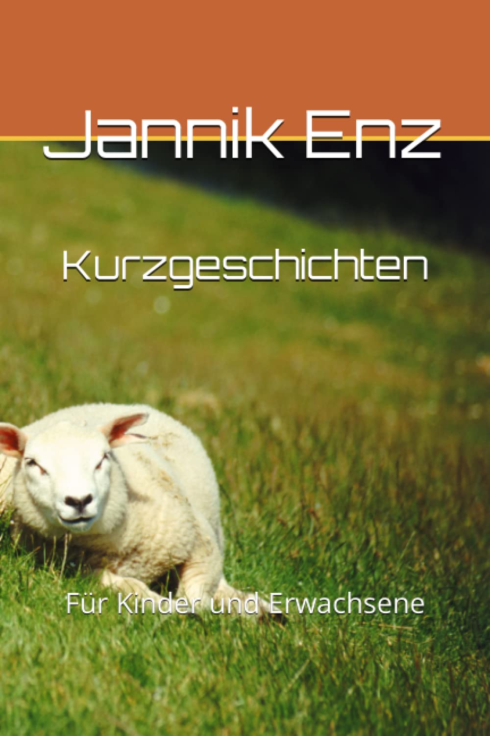 

Kurzgeschichten: Für Kinder und Erwachsene (German Edition) (Independently published)