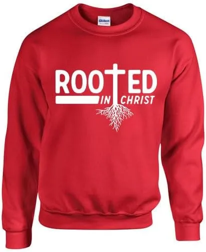 

Мужской свитшот Christian Rooted In Christ Trenz Shirt Company